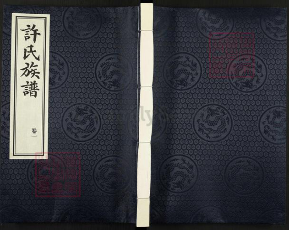 山东省聊城市高唐县许氏族谱-许氏族谱.pdf电子版插图