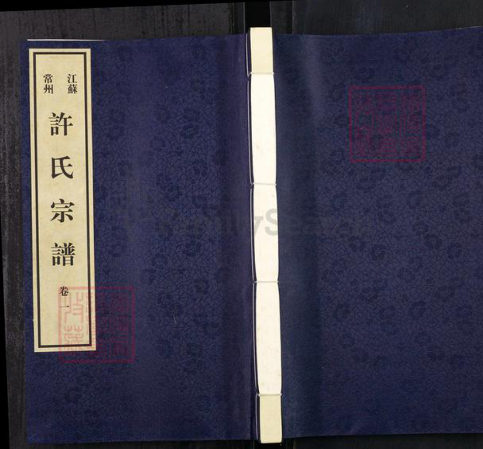 江苏省常州市武进县洛阳镇许氏德馨堂族谱-江苏常州许氏宗谱.pdf电子版插图