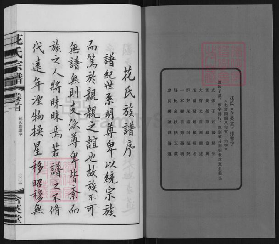 江苏省无锡市江阴市花氏含英堂族谱-花氏宗谱.pdf电子版插图2