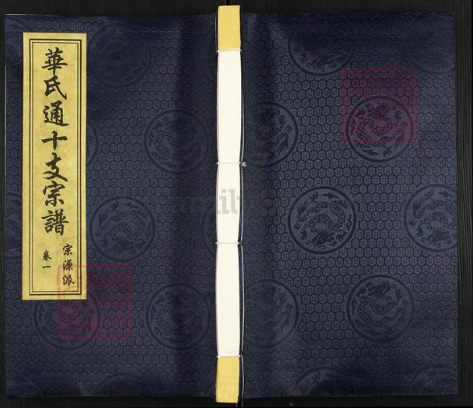 江苏省无锡市新吴区梅村街道华氏培元堂族谱-华氏通十支宗谱.pdf电子版插图