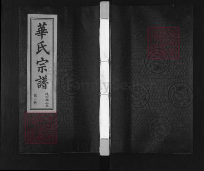 江苏省无锡市锡山区鹅湖镇华氏听彝堂族谱-华氏宗谱.通四兴二支.pdf电子版插图