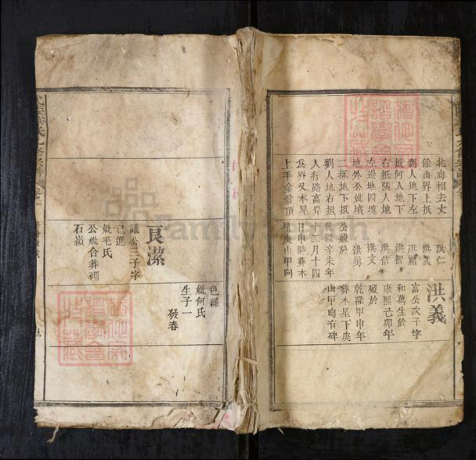 湖北省华氏族谱-武陵华氏九修宗谱.pdf电子版插图