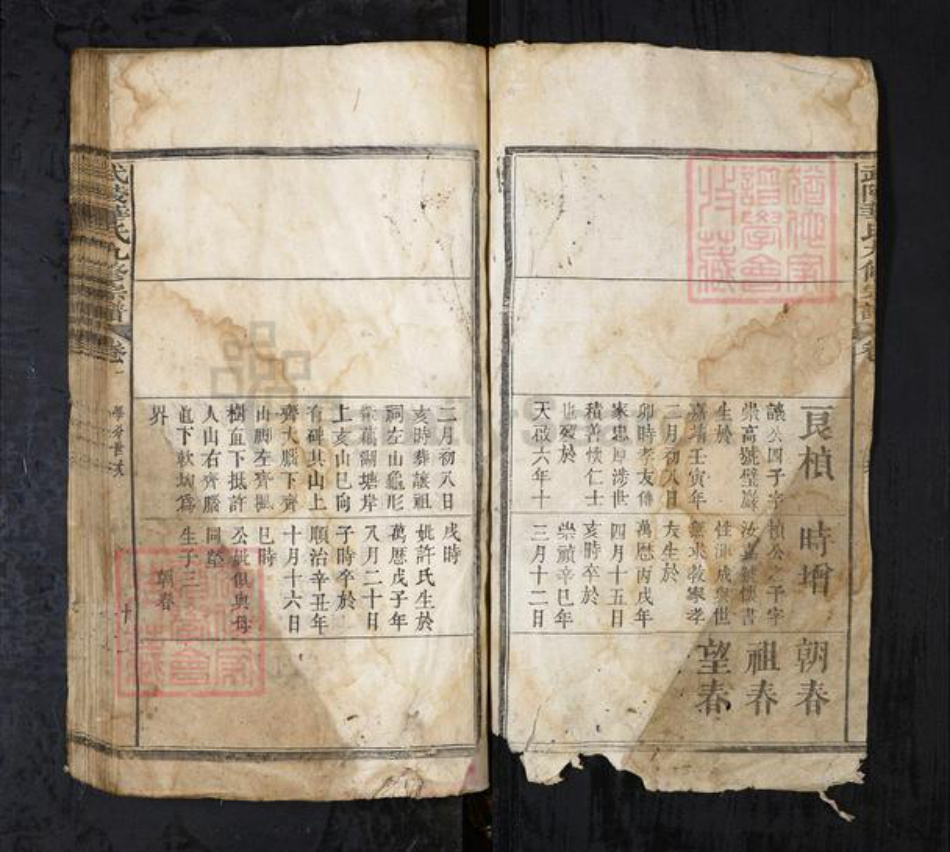 湖北省华氏族谱-武陵华氏九修宗谱.pdf电子版插图2