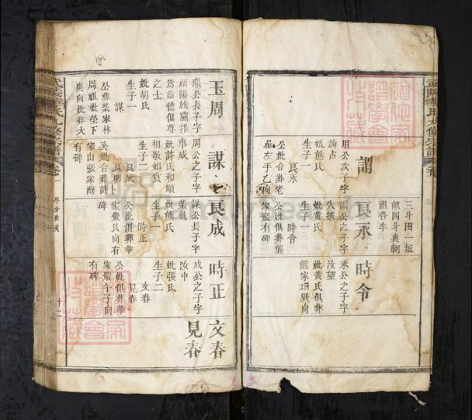 湖北省华氏族谱-武陵华氏九修宗谱.pdf电子版插图4