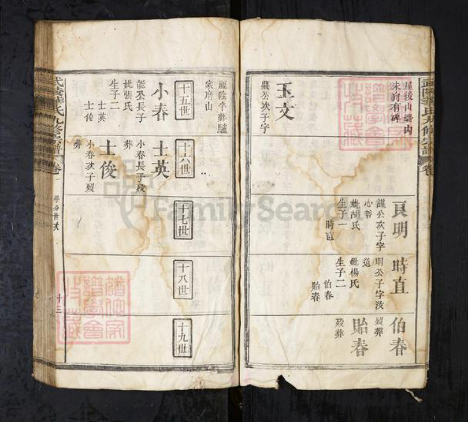 湖北省华氏族谱-武陵华氏九修宗谱.pdf电子版插图5