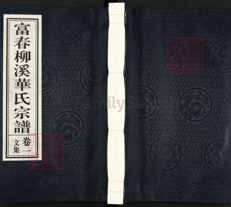 浙江省杭州市富阳华氏亦政堂族谱-富春柳溪华氏宗谱.pdf电子版插图