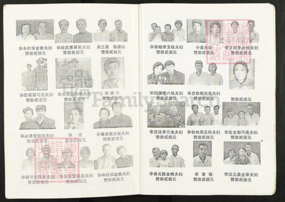 湖南省常德市武陵区华氏武陵堂族谱-华氏家乘.pdf电子版插图5