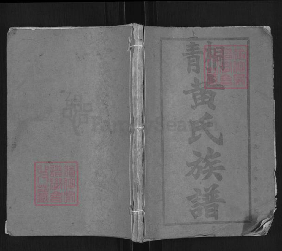 广东省云浮市罗定市泗纶镇黄氏族谱-青桐黄氏族谱.pdf电子版插图