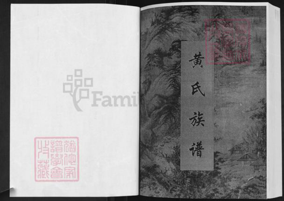 山东省淄博市博山区黄氏族谱-黄氏族谱.pdf电子版插图1