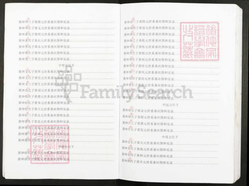 重庆市云阳县黄氏族谱-黄氏族谱.pdf电子版插图4
