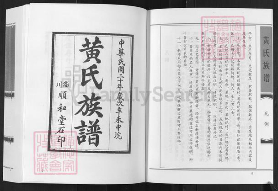 山东省淄博市淄川区黄氏顺和堂族谱-黄氏族谱.pdf电子版插图5