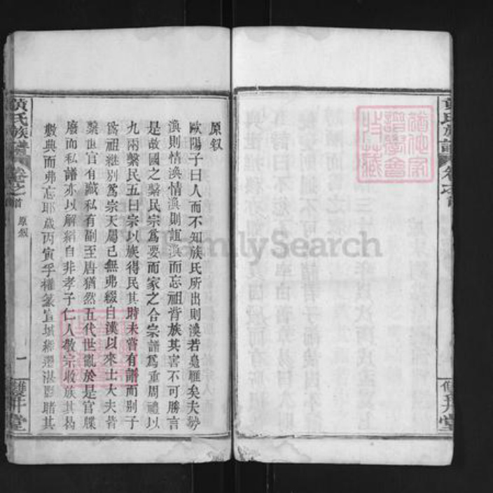 湖北省武汉市黄陂区黄氏双井堂族谱-黄氏族谱.pdf电子版插图4