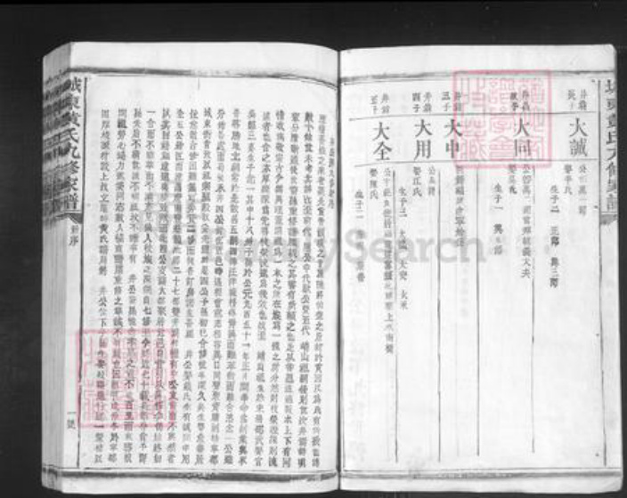 江西省赣州市宁都县黄氏族谱-城东黄氏九修家谱.pdf电子版插图2