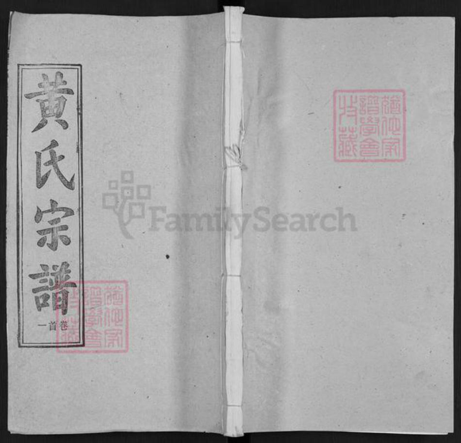 湖北省武汉市新洲区黄氏无双堂族谱-黄氏宗谱.pdf电子版插图