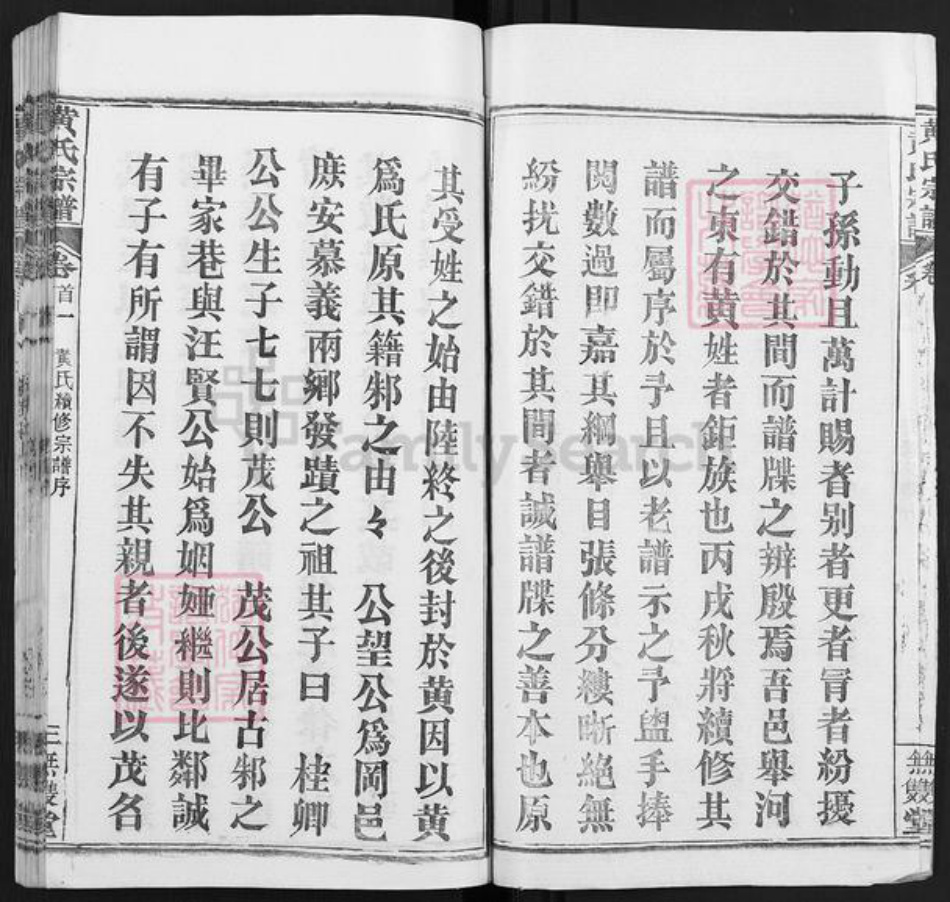 湖北省武汉市新洲区黄氏无双堂族谱-黄氏宗谱.pdf电子版插图2