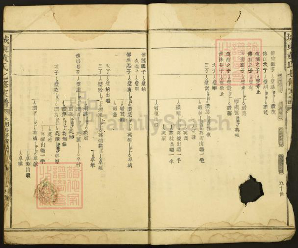 江西省抚州市南丰县黄氏族谱-城东黄氏七修家谱.pdf电子版插图5
