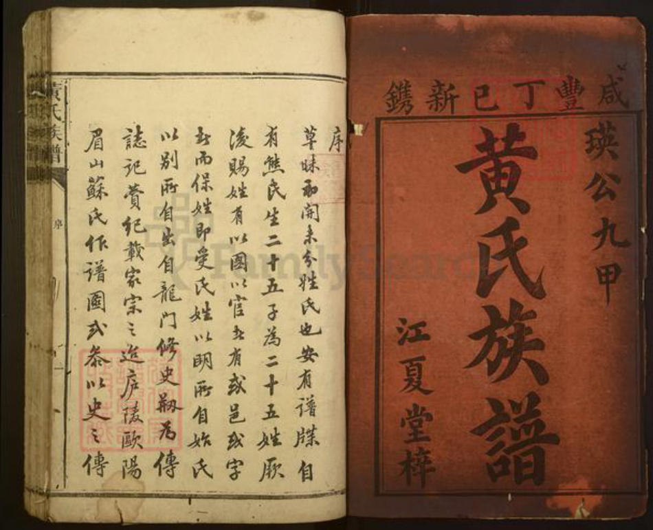 湖南省长沙市黄氏江夏堂族谱-黄氏族谱.pdf电子版插图1