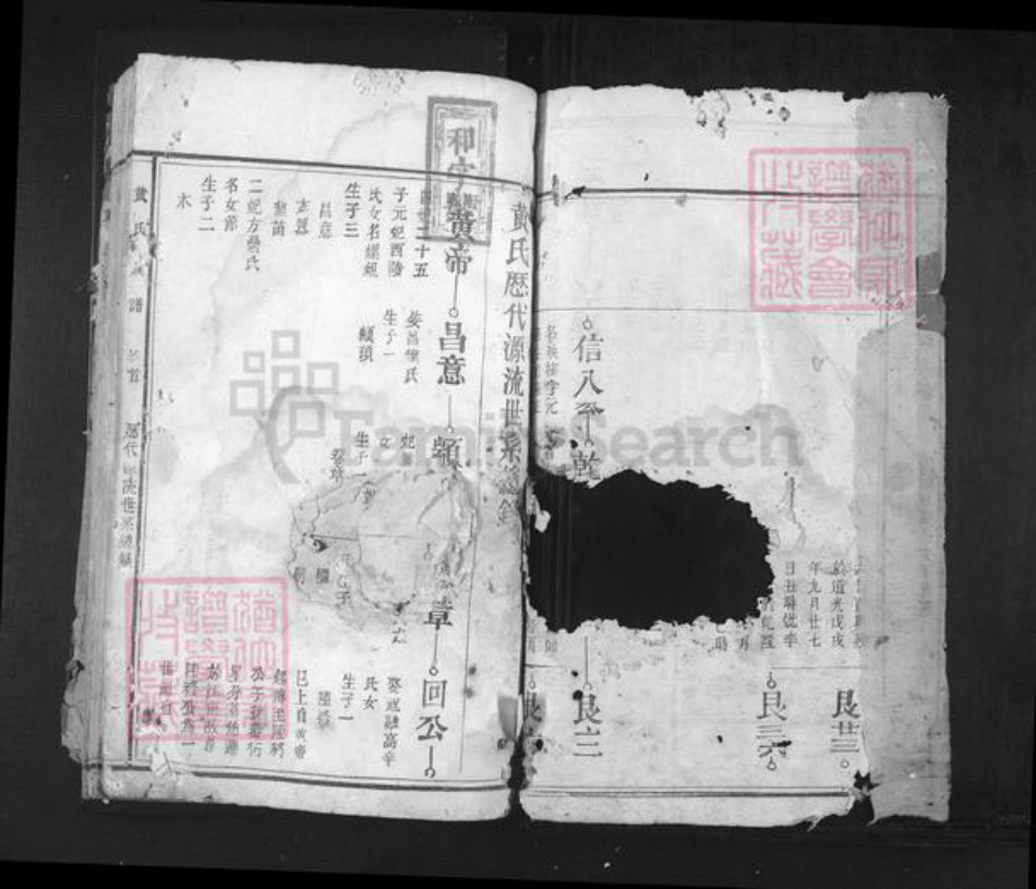 江西省九江市修水县杭口镇黄氏族谱-黄氏族谱.pdf电子版插图1
