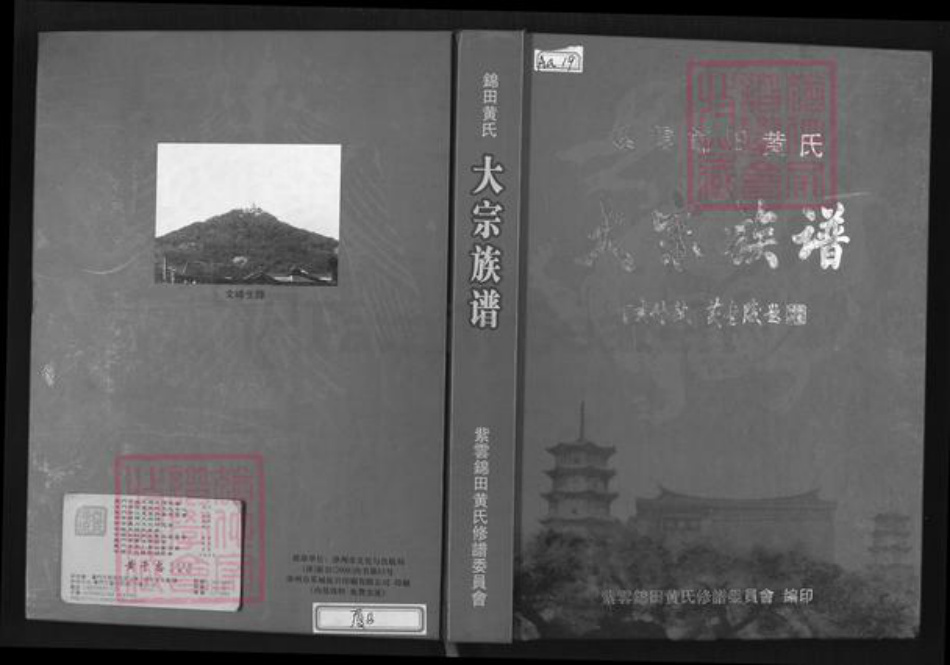 福建省泉州市惠安县张坂镇黄氏族谱-紫云锦田黄氏大宗族谱.pdf电子版插图