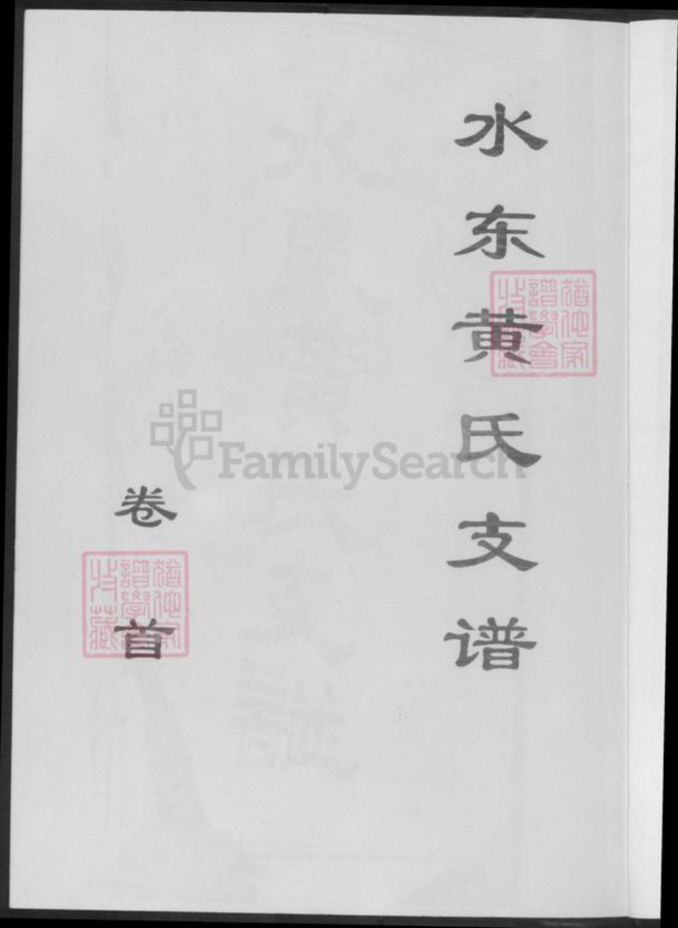 湖南省郴州市临武县黄氏族谱-水东黄氏支谱.pdf电子版插图2