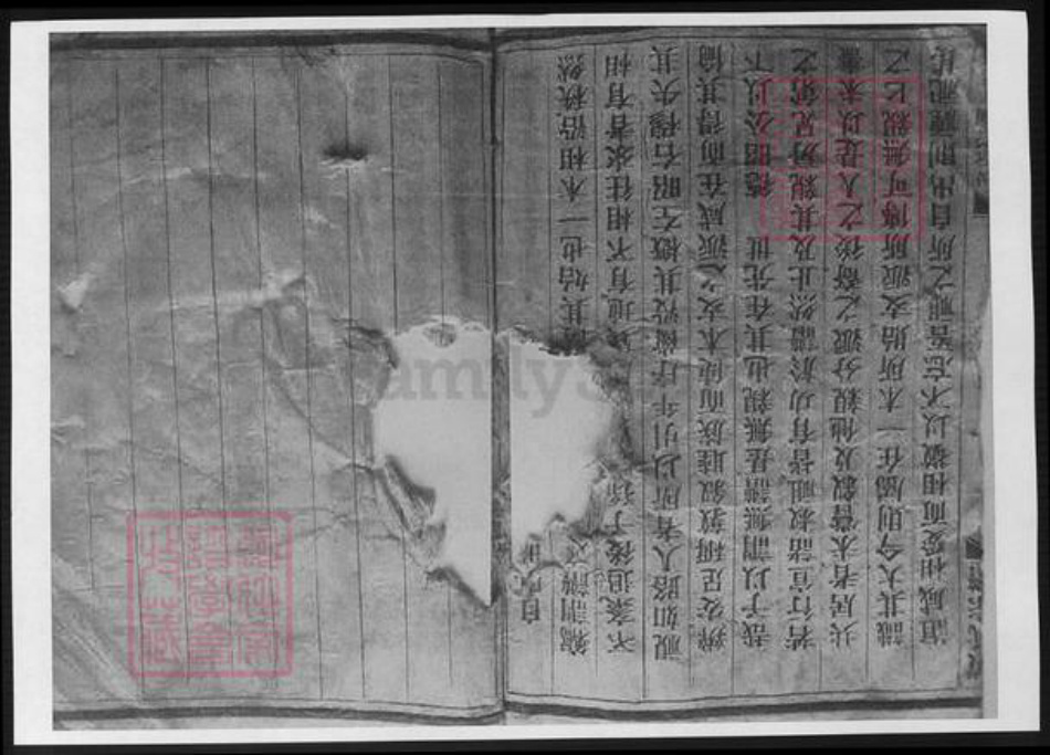 浙江省温州市黄氏族谱-苍南钱库黄判桥黄氏族谱.pdf电子版插图1
