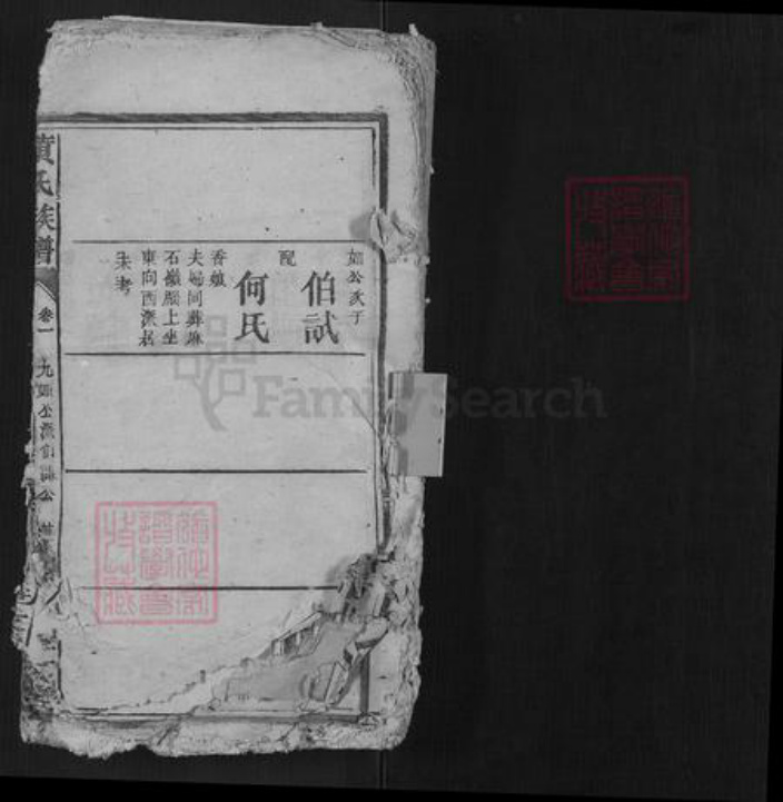 湖南省黄氏族谱-黄氏族谱[不分卷].pdf电子版插图1