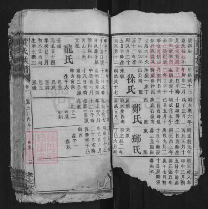 湖南省黄氏族谱-黄氏族谱[不分卷].pdf电子版插图5