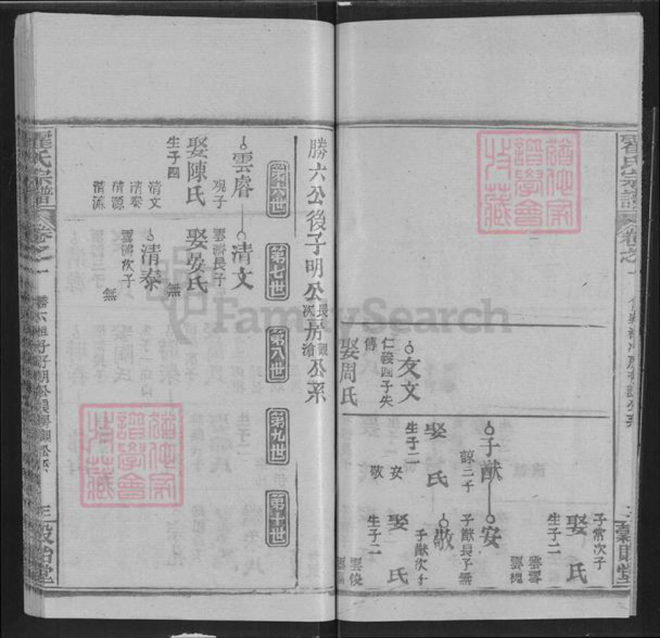 湖北省武汉市新洲区凤凰镇霍氏榖贻堂族谱-霍氏宗谱.pdf电子版插图3