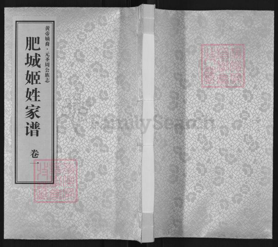 山东省泰安市肥城市孙伯镇姬氏族谱-肥城姬姓家谱.pdf电子版插图