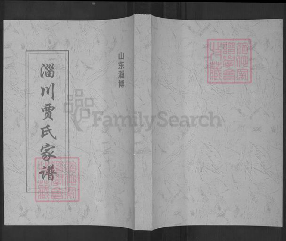 山东省淄博市淄川区贾氏族谱-淄川贾氏家谱.pdf电子版插图