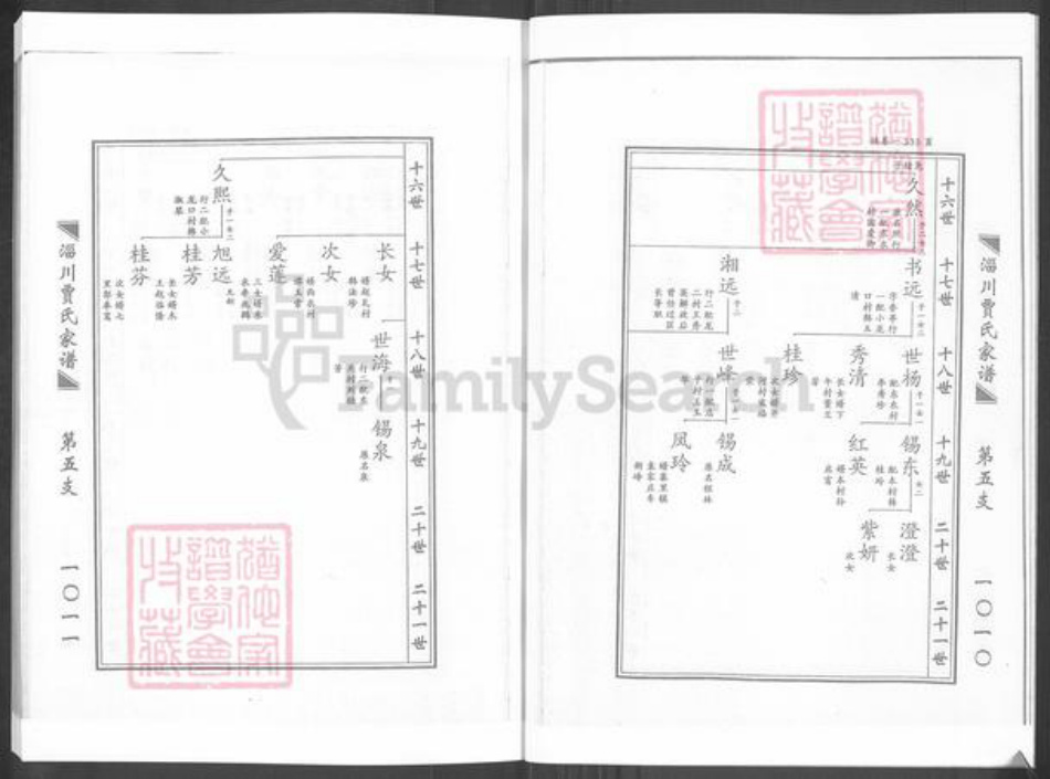 山东省淄博市淄川区贾氏族谱-淄川贾氏家谱.pdf电子版插图5