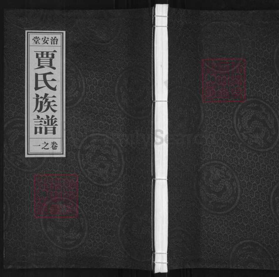 江苏省泰州市泰兴市贾氏治安堂族谱-贾氏族谱.pdf电子版插图