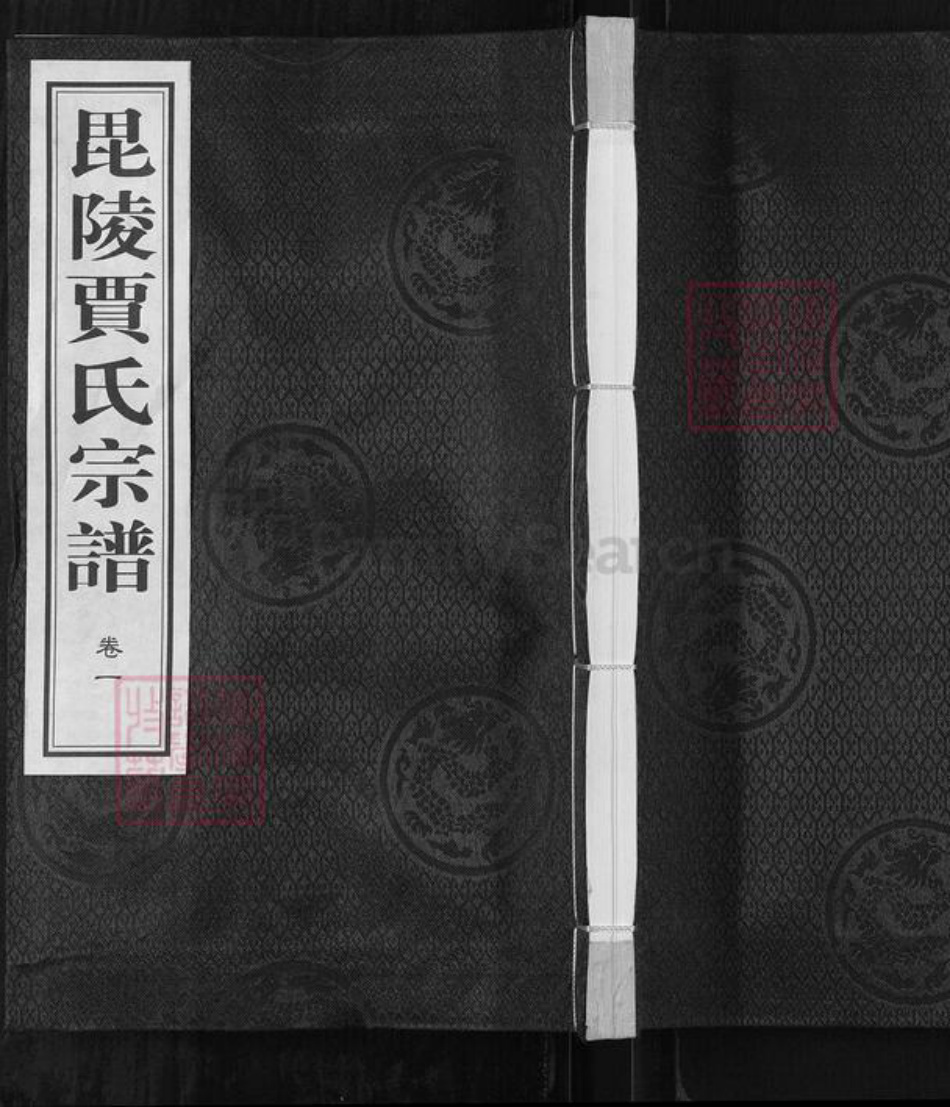 江苏省常州市武进县贾氏维则堂族谱-毘陵贾氏宗谱.pdf电子版插图