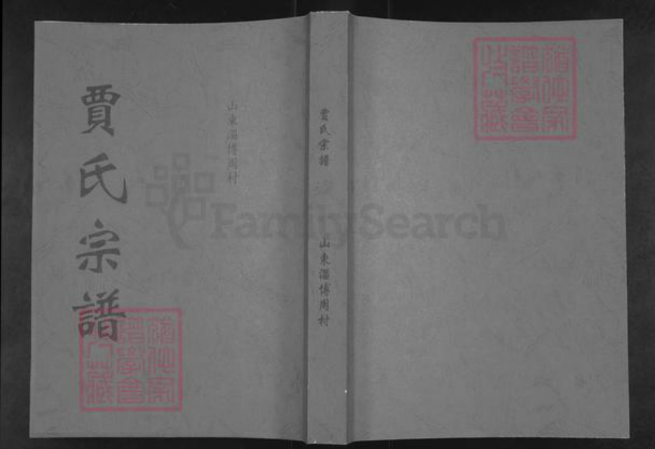 山东省淄博市周村区贾氏族谱-贾氏宗谱.pdf电子版插图