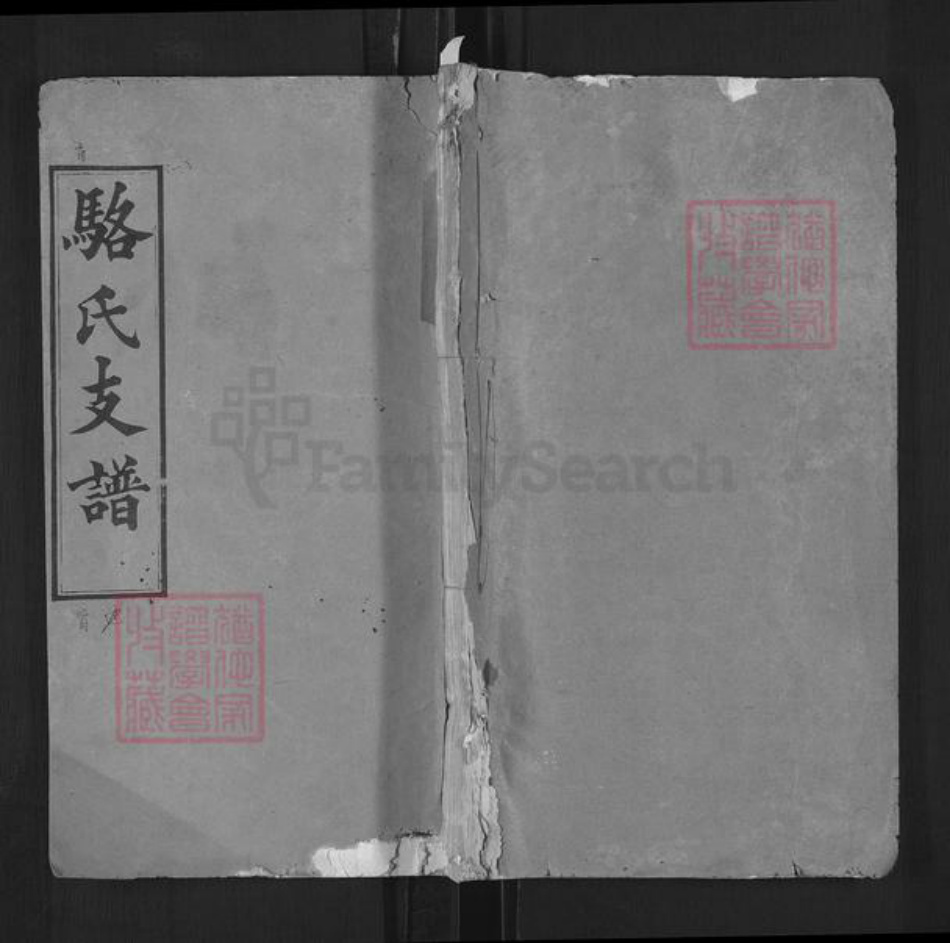 湖北省武汉市新洲区骆氏继宾堂族谱-骆氏支谱.pdf电子版插图