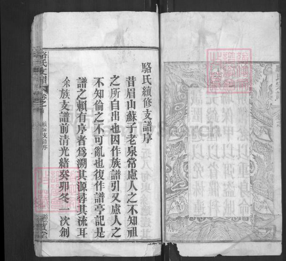 湖北省武汉市新洲区骆氏继宾堂族谱-骆氏支谱.pdf电子版插图4