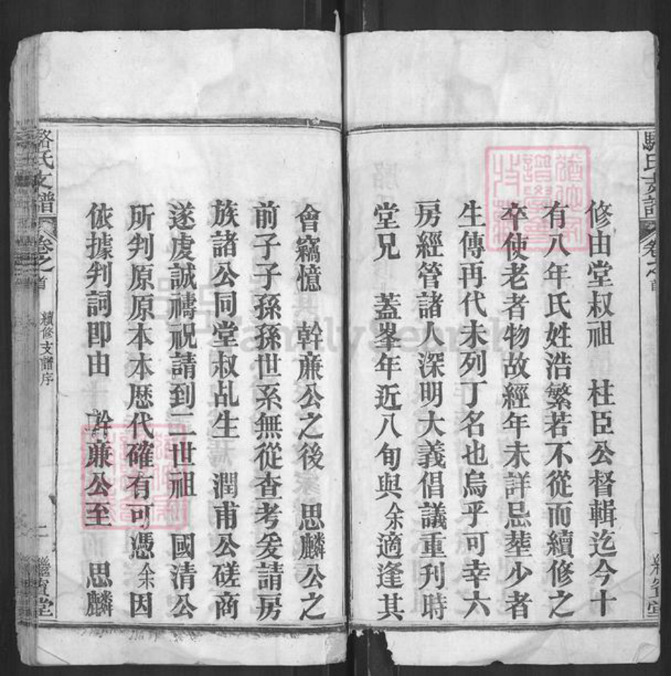 湖北省武汉市新洲区骆氏继宾堂族谱-骆氏支谱.pdf电子版插图5