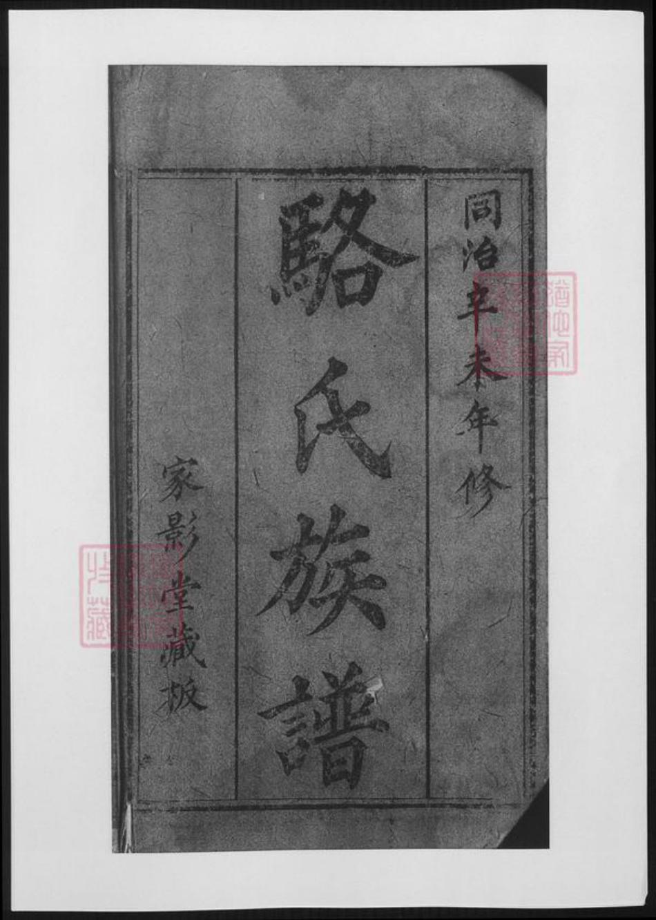 重庆市万州区骆氏族谱-合川骆氏族谱.pdf电子版插图2