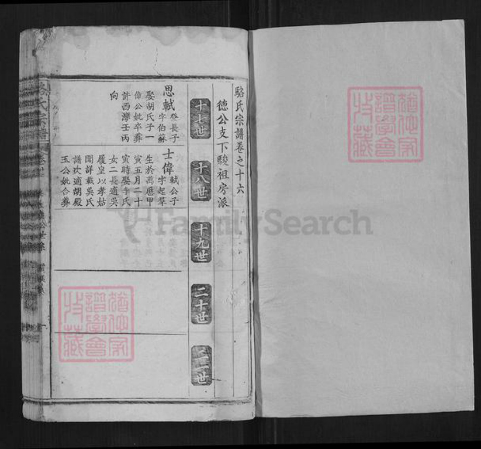 湖北省黄冈市蕲春县骆氏族谱-骆氏宗谱.pdf电子版插图1