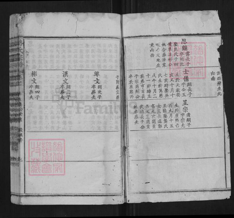 湖北省黄冈市蕲春县骆氏族谱-骆氏宗谱.pdf电子版插图2