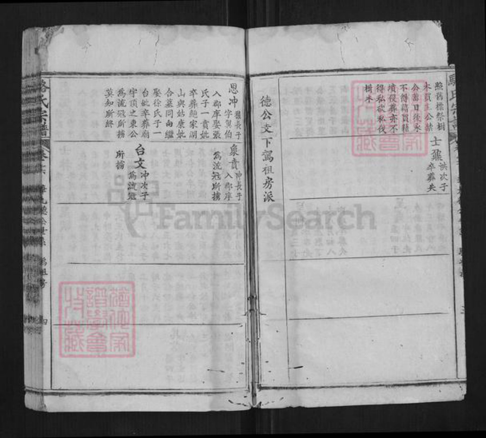 湖北省黄冈市蕲春县骆氏族谱-骆氏宗谱.pdf电子版插图4