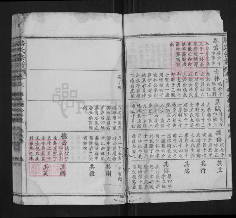 湖北省黄冈市蕲春县骆氏族谱-骆氏宗谱.pdf电子版插图5