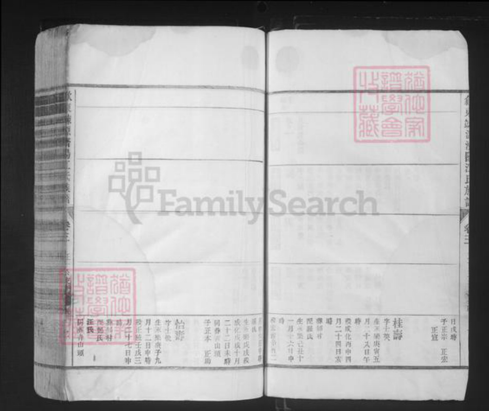 山东省济南市济阳区江氏族谱-歙东竦源济阳江氏族谱.pdf电子版插图2