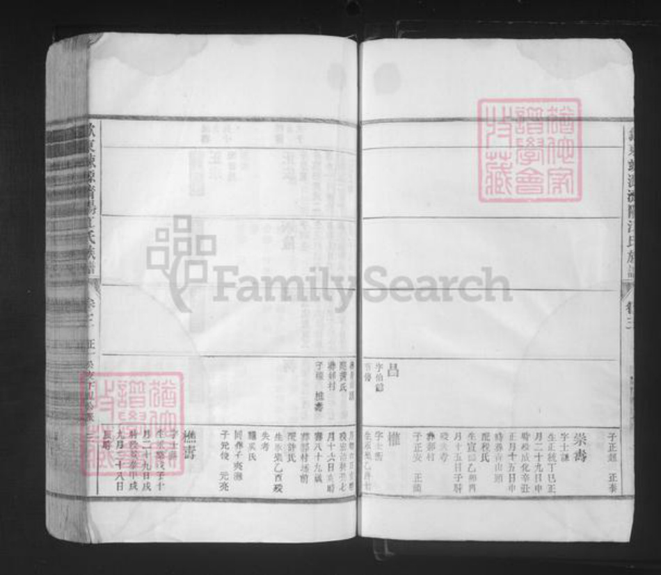 山东省济南市济阳区江氏族谱-歙东竦源济阳江氏族谱.pdf电子版插图3