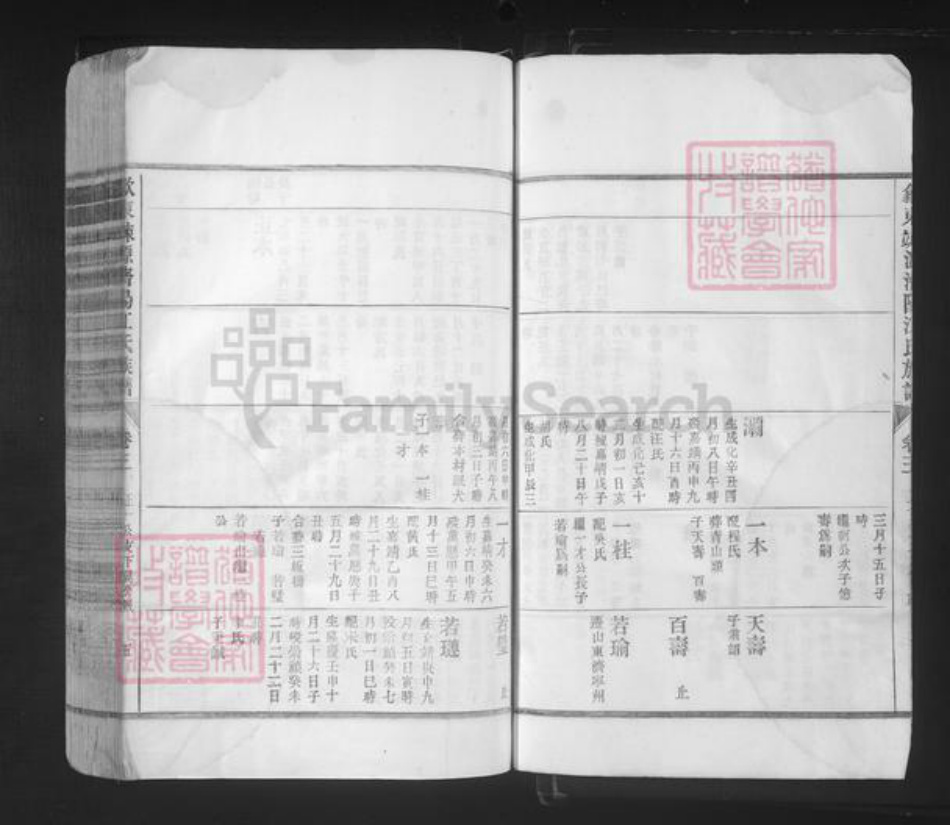 山东省济南市济阳区江氏族谱-歙东竦源济阳江氏族谱.pdf电子版插图5