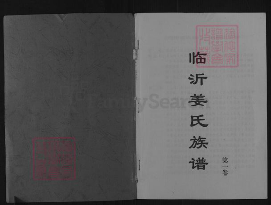 山东省临沂市兰山区姜氏族谱-临沂姜氏族谱.pdf电子版插图1