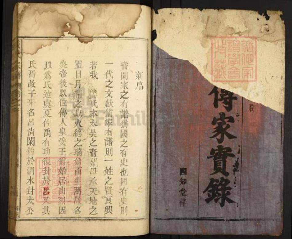 江西省九江市湖口县姜氏族谱-姜氏宗谱.pdf电子版插图1 江西省九江市湖口县姜氏族谱-姜氏宗谱.pdf电子版插图1