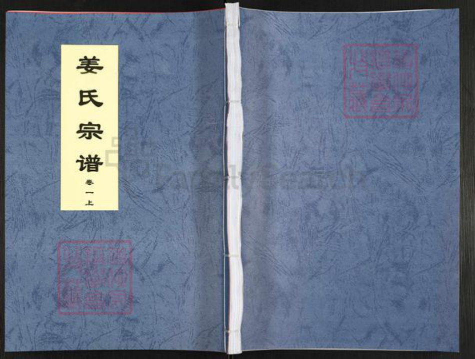 安徽省合肥市庐江县姜氏族谱-姜氏宗谱.pdf电子版插图 安徽省合肥市庐江县姜氏族谱-姜氏宗谱.pdf电子版插图