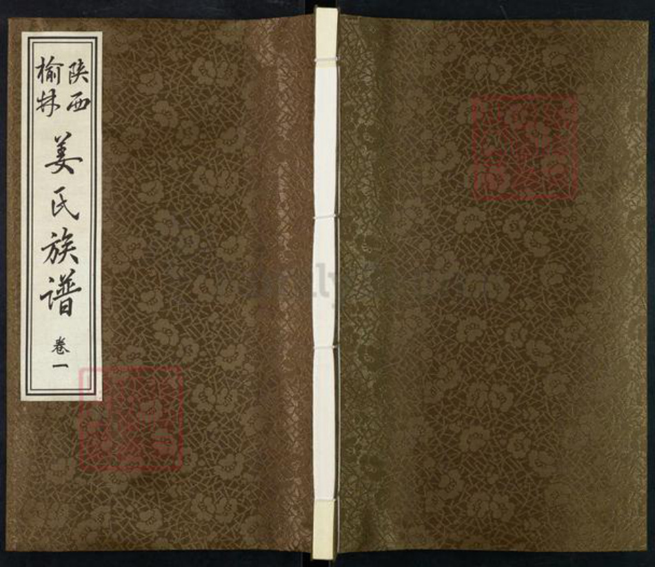 陕西省榆林横山区姜氏族谱-陕西榆林姜氏族谱.pdf电子版