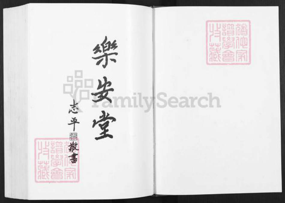 江苏省淮安市涟水县蒋氏乐安堂族谱-蒋氏族谱.蒋庵支系.pdf电子版插图1